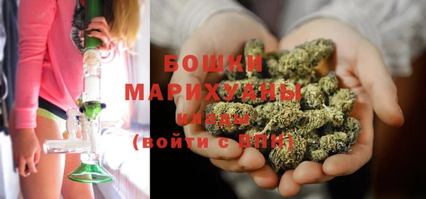 шишки Арсеньев