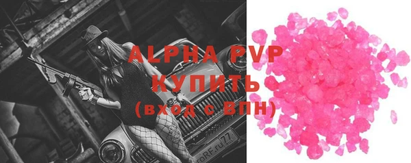 шишки Арсеньев