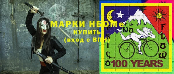 шишки Арсеньев