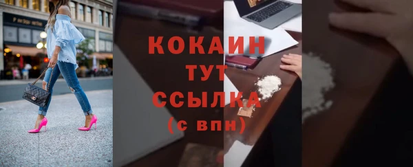 шишки Арсеньев