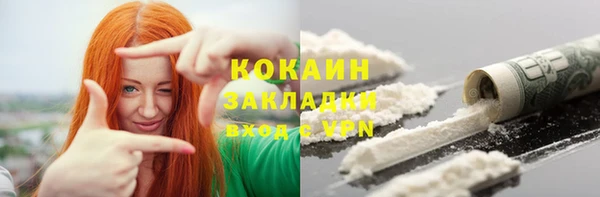 шишки Арсеньев