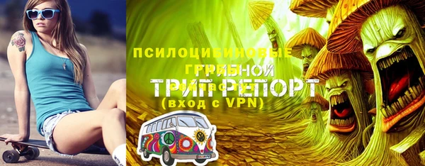 шишки Арсеньев