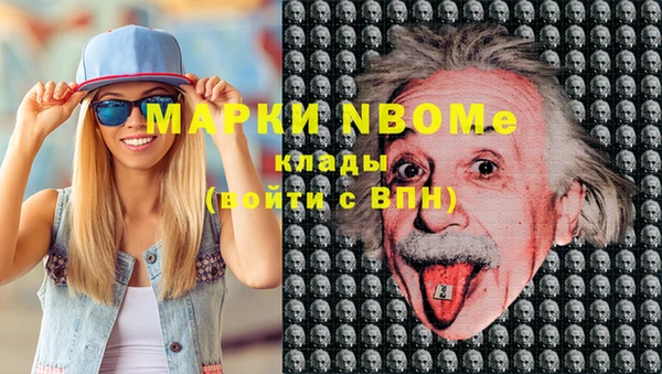 шишки Арсеньев