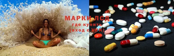шишки Арсеньев