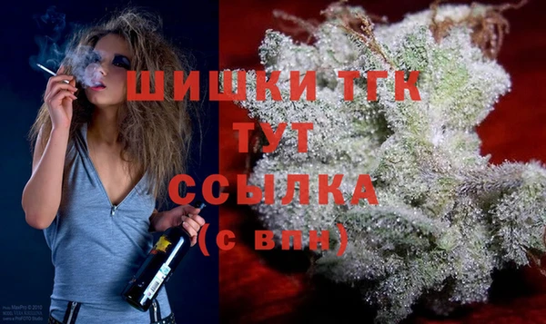 гидра Аркадак